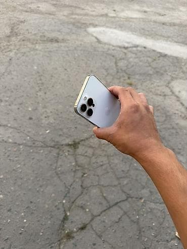 pad 7 pro: IPhone 13 Pro Max, Б/у, 256 ГБ, Белый — 6