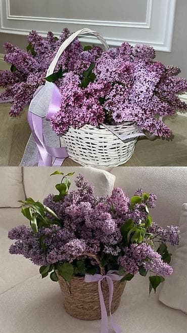 корзины на той: Пышные корзины с сиренью - Состав: свежесрезанная садовая сирень — 1