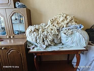 баран матка: Срочно! Овечья шерсть мытая (натуральная), бело-кремового оттенка. Вес — 3