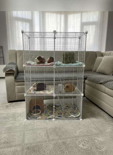 бамбуковая мышь: Продается клетка одна. Многоуровневая клетка для — 1