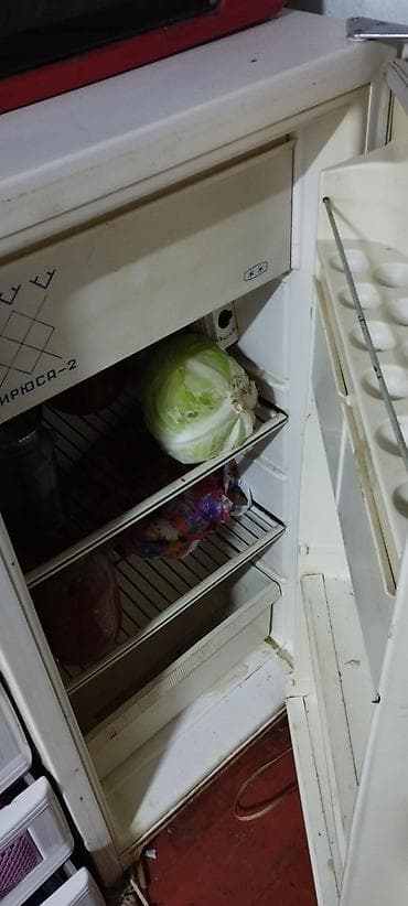 neta v: Холодильник Biryusa, Однокамерный — 1