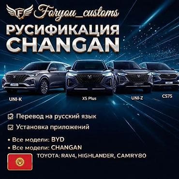 На выезд Услуга: профессиональная активация/кодирование скрытых