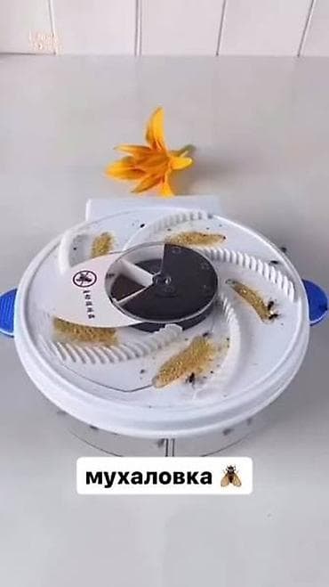 Каракол Электрическая ловушка для мух (мухоловка), USB - Назначение at lalafo.kg Каракол Электрическая ловушка для мух (мухоловка), USB - Назначение