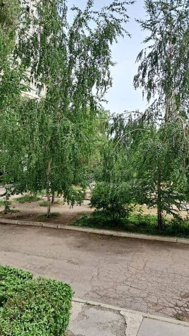 цены на однокомнатные квартиры в бишкеке: 1 комната, 36 м², 105 серия, 1 этаж, Косметический ремонт — 4