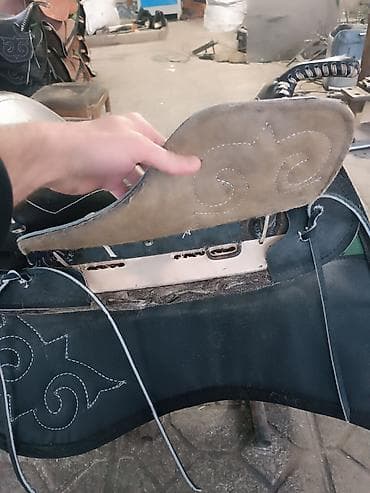 Продаю | Конь (самец)