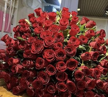скупка цветов: Розы 
90 см 
51шт
Сегодня купил 8к
6500 продаю срочно — 1