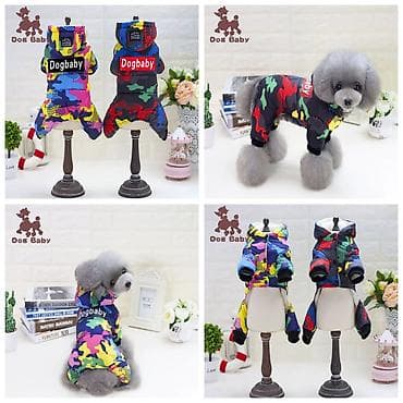 приюты для кошек в бишкеке: ПРОДАЮ НОВУЮ ОДЕЖДУ ДЛЯ КОШЕК И СОБАК СРЕДНИХ И МЕЛКИХ ПОРОД — 3