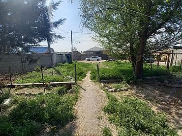 70: 4 соток, Для бизнеса — 4