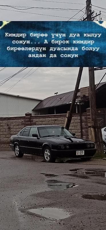 bme e34: BMW 5 series: 1994 г., 2 л, Бензин, Седан — 3