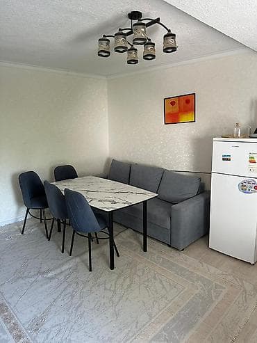 мед академии: 1 комната, 50 м², Индивидуалка, 1 этаж, Евроремонт — 1