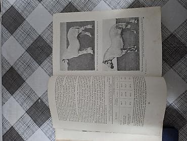 Книги и журналы: Продаю редкую книгу. Тираж-25тыс .экз. Год выпуска 1952. ( Москва ) — 9