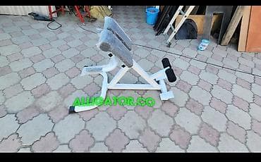 Силовой тренажер, Гиперэкстензия, Для спины, Новый, Самовывоз, Платная доставка