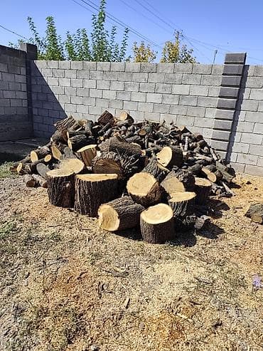 тактай лес бу: Услуга бензопилы — 8