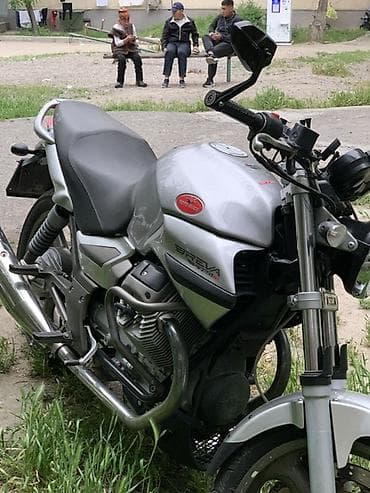 Мотоциклы: Naked 750 куб. см, Бензин, Взрослый — 3