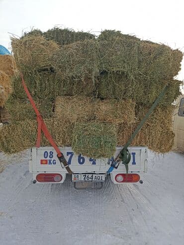 беде тюк клевер: 2укос Клевер сено доставка есть зелёный 78шт тюки плотные — 1