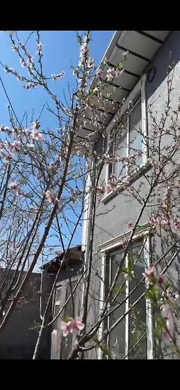 трёхэтажный дом: Сдается под садик Двухэтажный дом с серым фасадом и светлыми оконными — 3