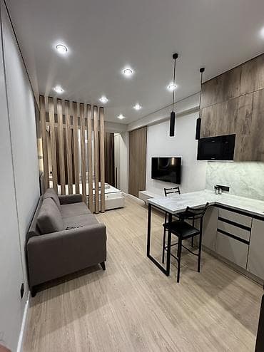 сдается готевой дом в бишкеке: Студия, Собственник, С мебелью полностью — 1