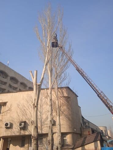 кресло барбер: Профессионально оперативно быстро спил любой сложности. Без выходных — 3