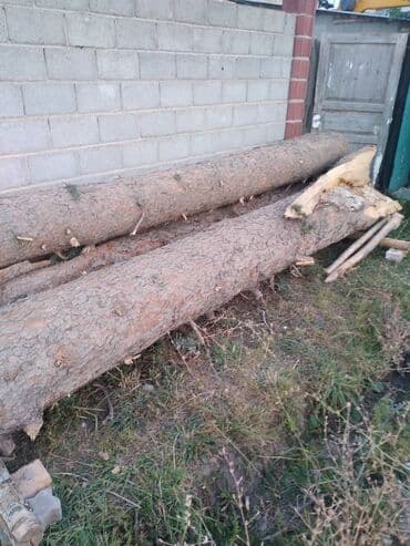 декор для сада купить: Предлагаются бревна, представляющие собой стволы деревьев, распиленные — 6