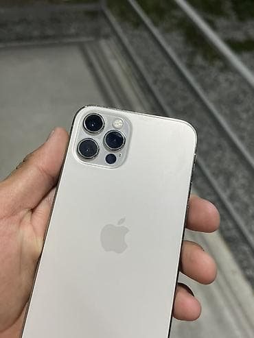 apple iphone 12 mini: IPhone 12 Pro, Серебристый — 8