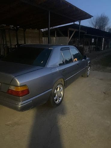 e star: Mercedes-Benz W124: 1990 г., 2.3 л, Автомат, Бензин, Седан — 3