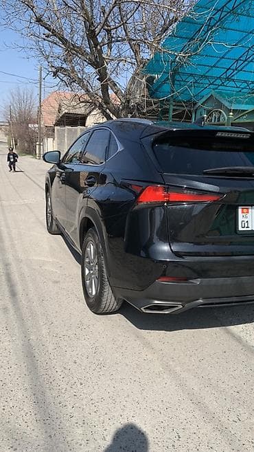 lc 300: Lexus NX: 2019 г., 2 л, Автомат, Бензин, Кроссовер — 4