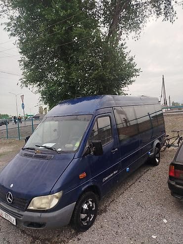 Mercedes-Benz Спринтер: 2005 г., Бус
