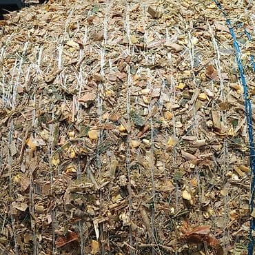 Силос . с погрузкой