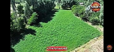 Кыймылсыз мүлк: 30 соток, Курулуш, Кызыл китеп — 2