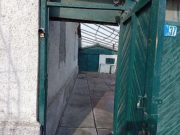 register yagody plus live: Деревянные штакетники, Покраска забора — 4