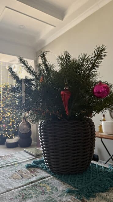 кала: Плетёные кашпо объем 12 литров . Первому покупателю сегодня — 5