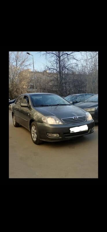 corolla runx: Сдаю в аренду Toyota Corolla (механика)2005 в отличном состоянии — 2