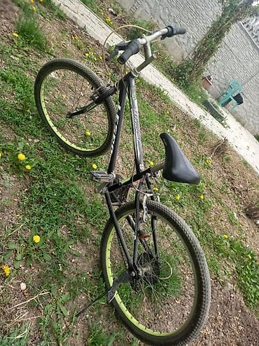 кел кел: Шаардык велосипед, Lespo, Велосипед алкагы S (145 - 165 см), Колдонулган — 1