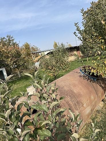 водяная помпа для полива: Бочка 5 тоник — 4