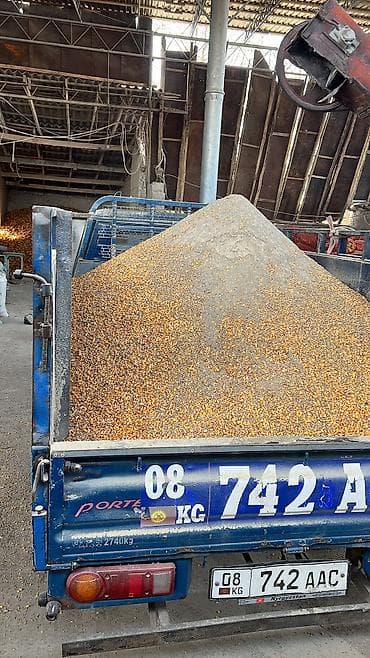 Айыл-чарба жаныбарлары: Продаю комбикорм био корм 6в1 перемешка готовая в мешках с доставкой — 1