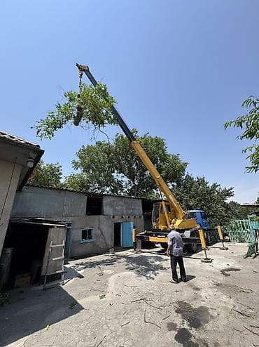 Кызматтар: Жаанын 21 м, 5000 т., Борттун 5000 кг — 3