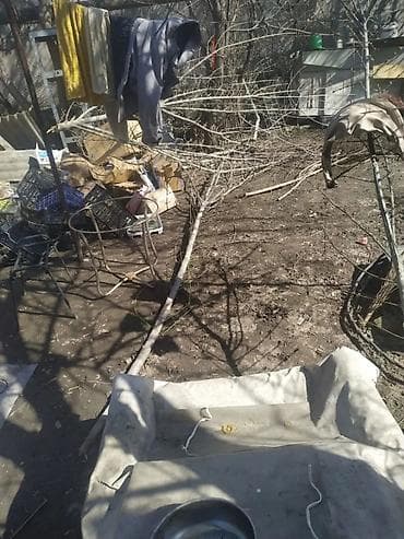 Другие услуги: Уборка территории, Уборка двора и сада — 4