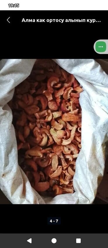 форма для копилка: Алма как ортосу алынып күндүн нуруна кургатылган курук таптаза өрүк — 9
