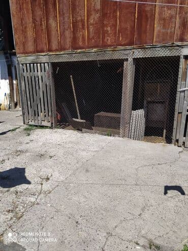 дома в беловодском: Дом, 55 м², 4 комнаты, Собственник — 8