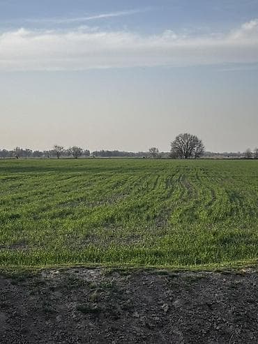 автомойку продаю: 300 соток, Действующий, Без оборудования, Без коммуникаций — 3