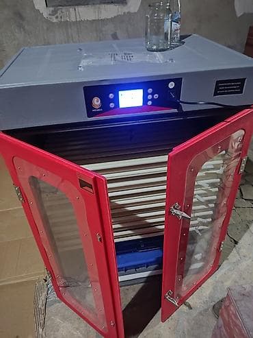 бишкек мал базар: Продам новый инкубатор Китай на 1000 кур яиц. 50 000 сом — 3