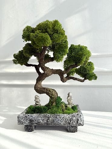 В переводе с японского Бонсай означает «дерево, выращенное в блюде»