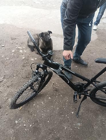 forward apache: Горный велосипед, универсальный для города и просёлка. Основные — 2