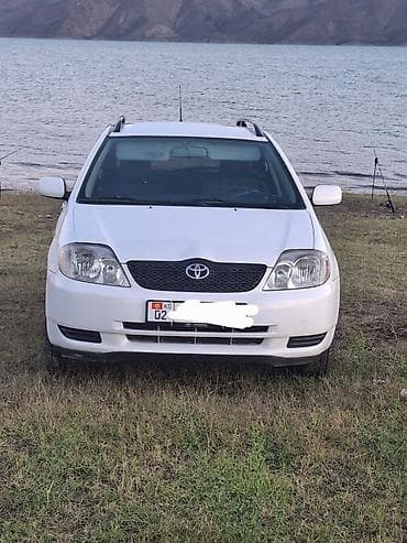 fort focus: Toyota Corolla: 2003 г., 1.6 л, Механика, Бензин, Универсал — 6