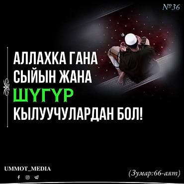 Услуги: Курсы и сертификация в Бишкеке - Обучдтюшающиеу7ор программы с — 3