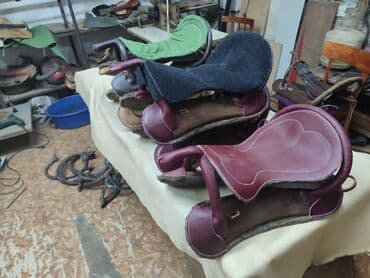 сколько стоит ошейник для собак: Ээр токум сатылат, мыкты сапатта, гарантиясы менен Бакыт баасы 7000 — 3