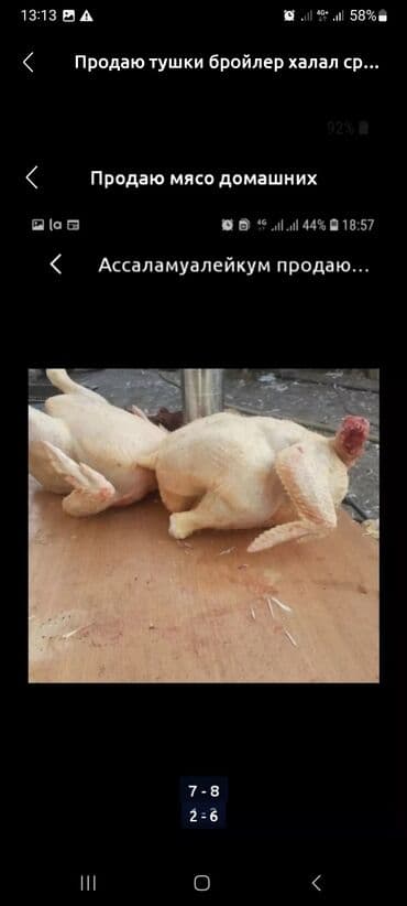 Бройлер :, 2 кг, 3 кг