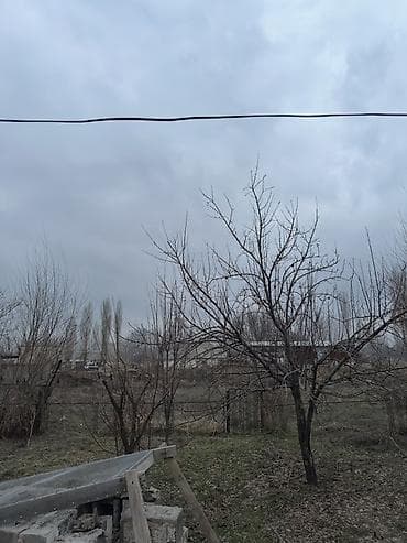 сто в новопокровке: Есть торг Продаётся дом с земельным участком 3,5 га. - Участок — 4