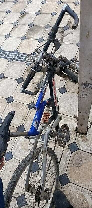 Велосипеддер: Тоо велосипеди, Болот — 3