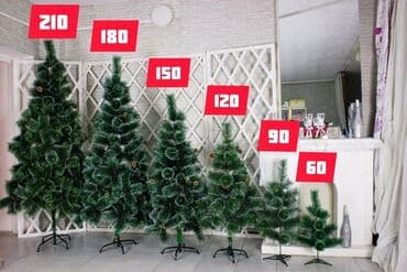 искусственные деревья бишкек: Ёлки в наличии Все размеры есть Доставка по городу бесплатная — 5